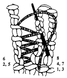 seaming diagram